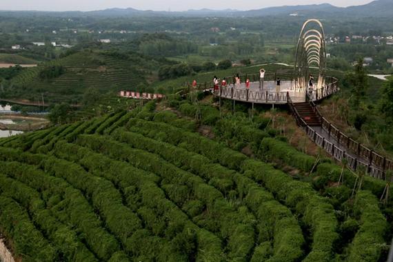 信阳罗山旅游景点有哪些地方