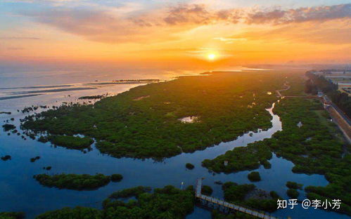 北海红树林旅游四天纯玩自助游，北海红树林日游经典路线参考