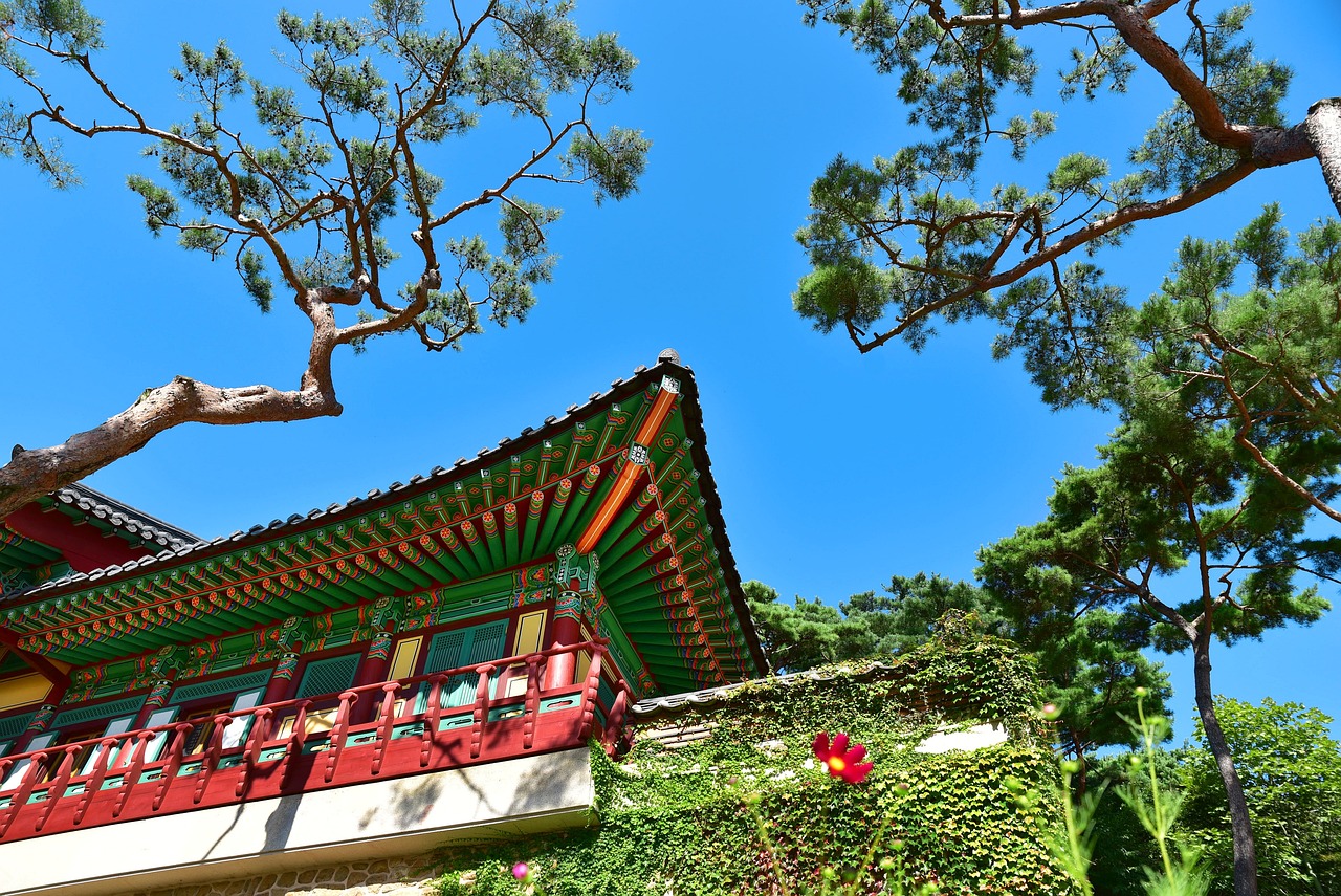 揭秘峨眉山，古韵与现代交织的佛教名山旅行指南