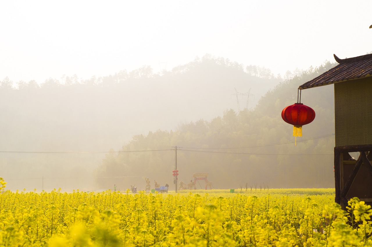 探秘江西婺源，不只油菜花海，还有怎样的旅行性价比？