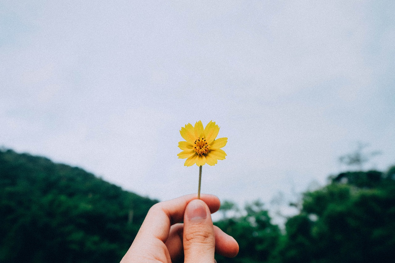 二十一天成年人的友情太现实