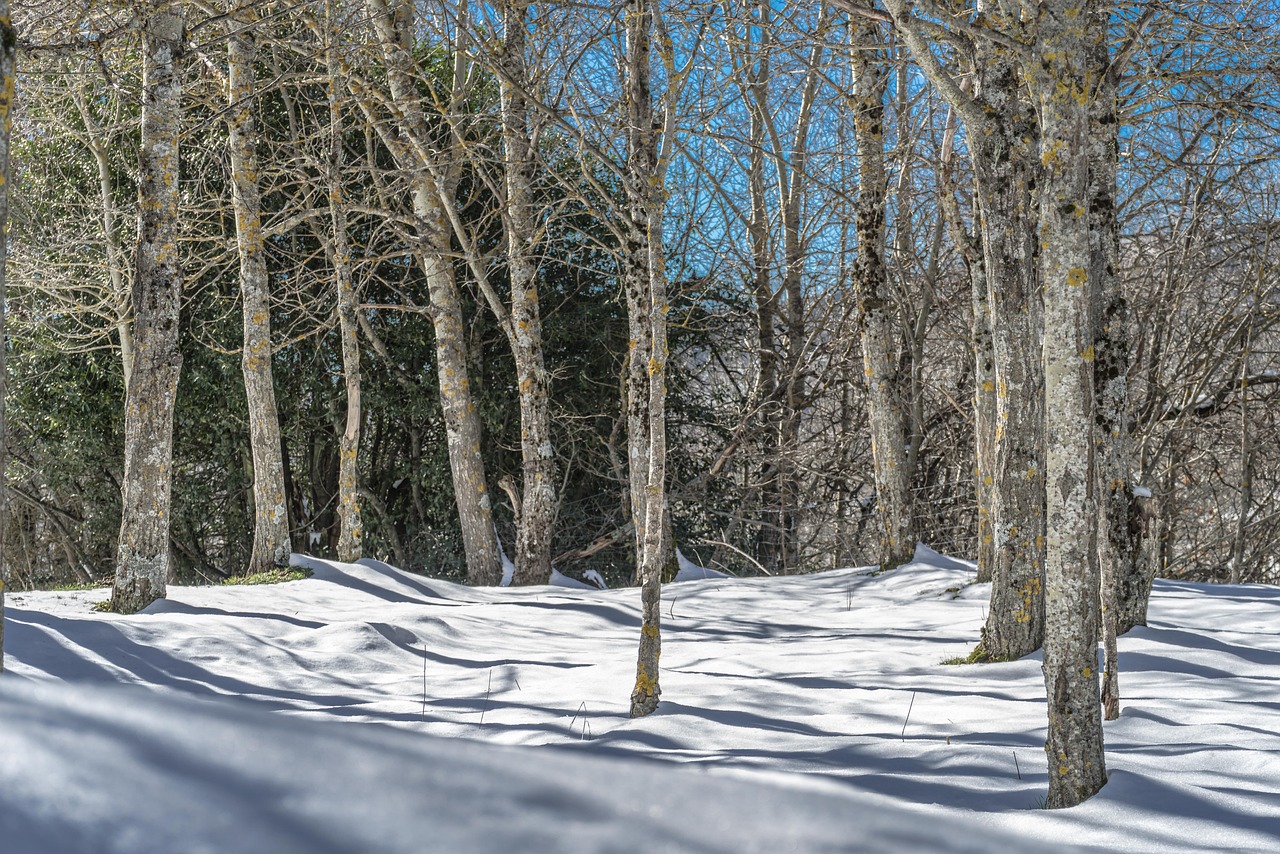 揭秘成都西岭雪山，雪域仙境的秘境探索之旅