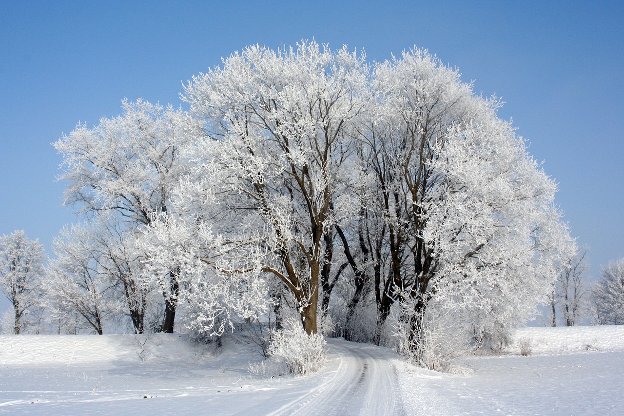 探秘长白山，冬日奇遇记——独家团购优惠，带你领略雪域仙境